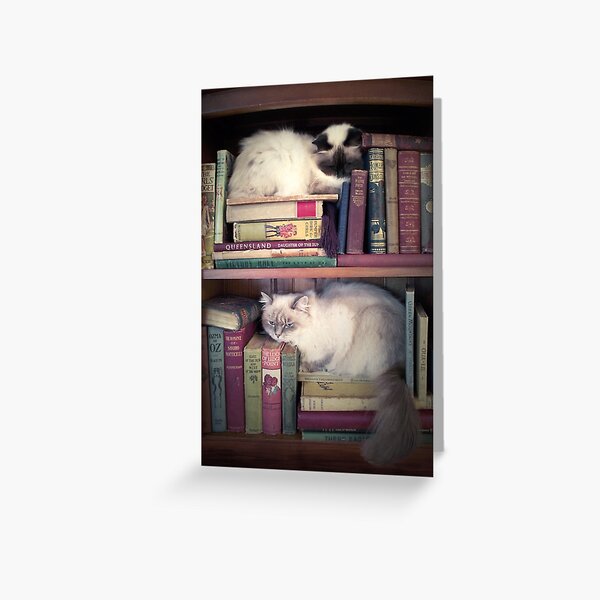 Item preview,
En todas las grietas designed and sold by Sarah Mac Illustration.