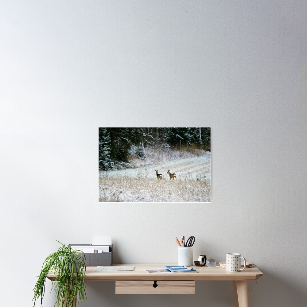 Item preview, Poster designed and sold by Jouko Lehto Photography.