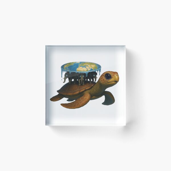 Aperçu de l'œuvre Maturin la tortue créée et vendue par AugustusGlitch.