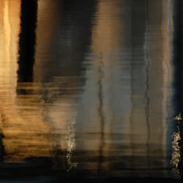 Aperçu de l'œuvre Nikkor VR 55-200mm le
"Ce n'est pas d'où tu viens de Joanne Bradley