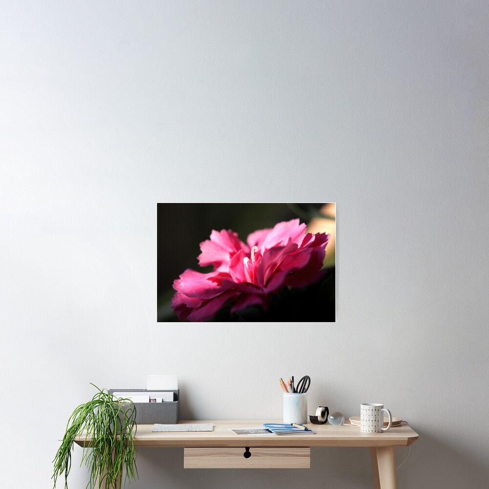 Item preview, Poster designed and sold by SmoothBreeze7 | Liz Collet Photography.
