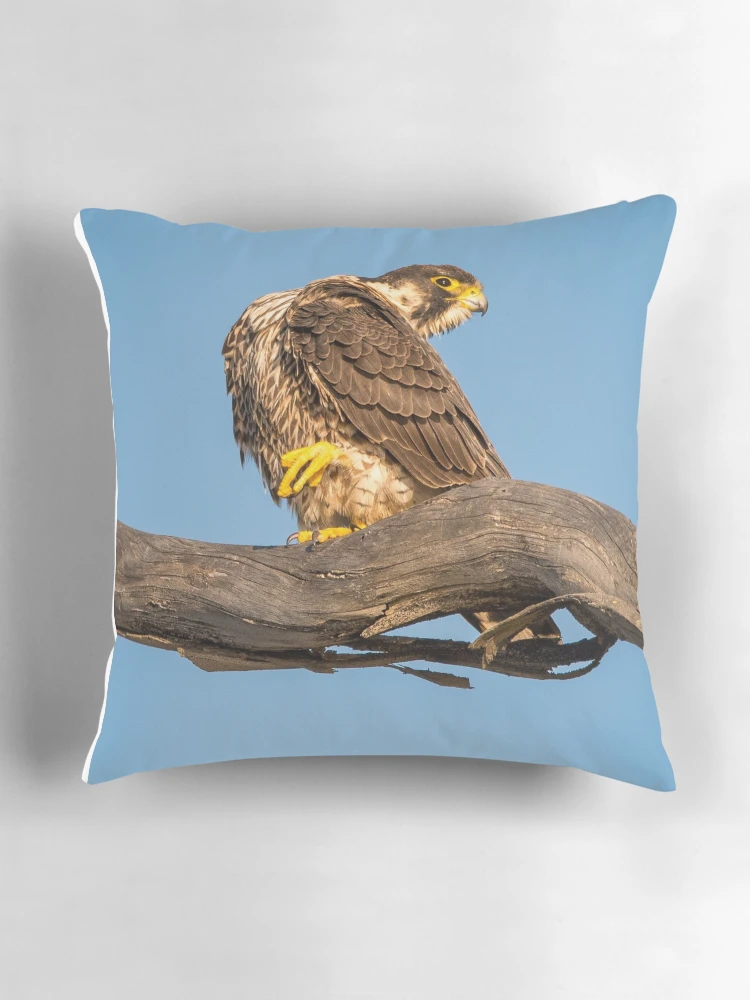 Thumbnail 3 of 4, Pillow, Golden Falcon at Rest designed and sold by TheHikersEye.