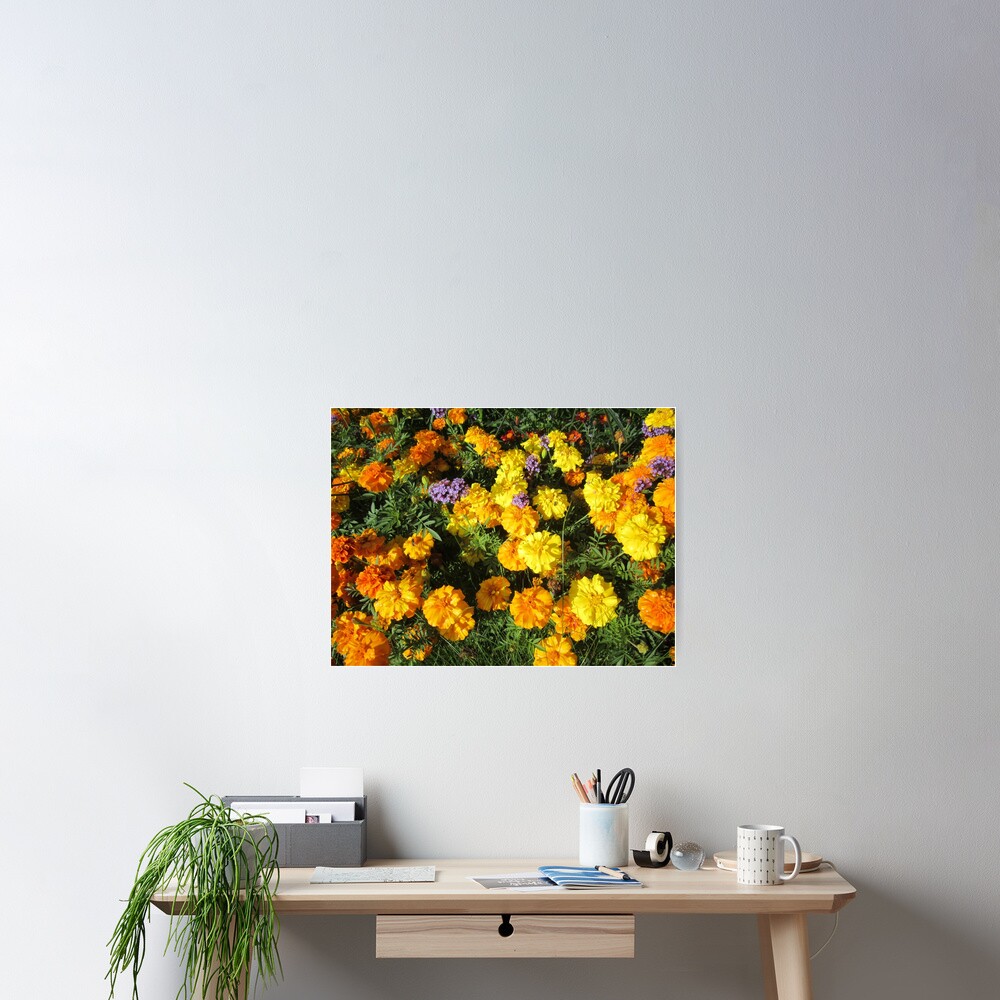 Item preview, Poster designed and sold by Alexander Krishchyunas.