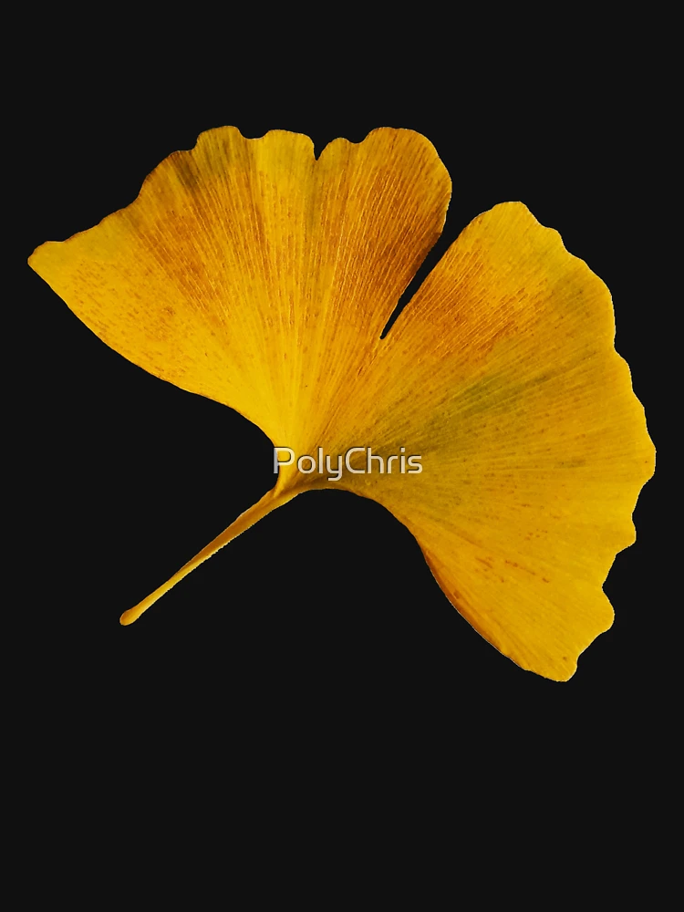 Aperçu 7 sur 7. T-shirt classique avec l'œuvre Photographie artistique de ginkgo biloba d'automne, feuille de ginkgo d'automne créée et vendue par Carl's Clothing.