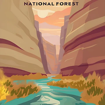Artwork thumbnail, Coconino National Forest by Backyard Adventures