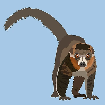 Aperçu de l'œuvre M comme Lémurien Mangouste, Illustration de Lémurien Mangouste – Art primate unique pour les amoureux de la faune et de la nature de PrettylittlepastelUk
