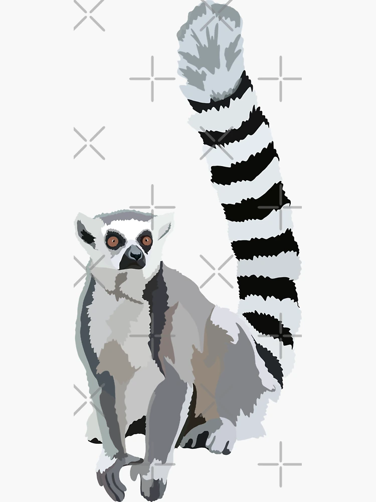 Aperçu 3 sur 3. Sticker avec l'œuvre R comme Lémur cattaIllustration de Lémur catta – Art de primate emblématique pour les amoureux de la faune et de la nature créée et vendue par PrettylittlepastelUk.