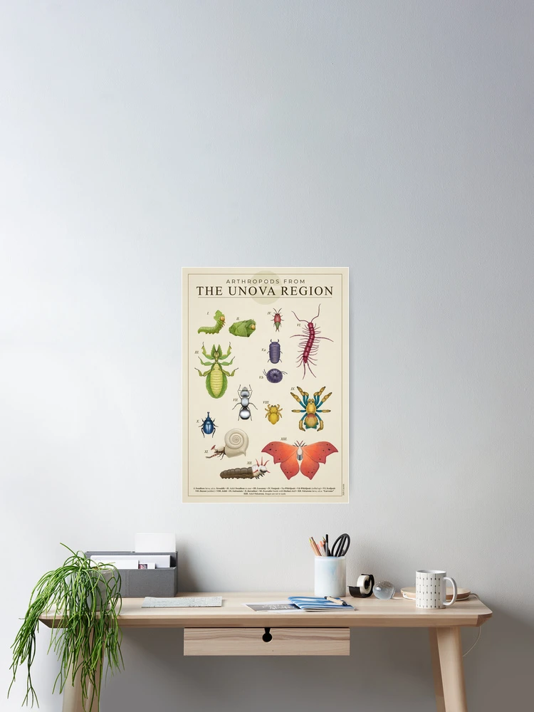 Thumbnail 2 von 3, Poster, Arthropoden aus Unova designt und verkauft von Julio Lacerda.