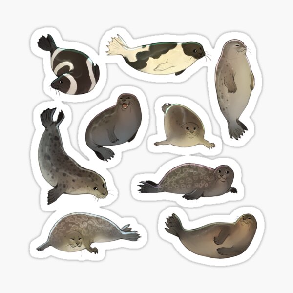 Item preview, seals! designed and sold by chaoticcaprisun.