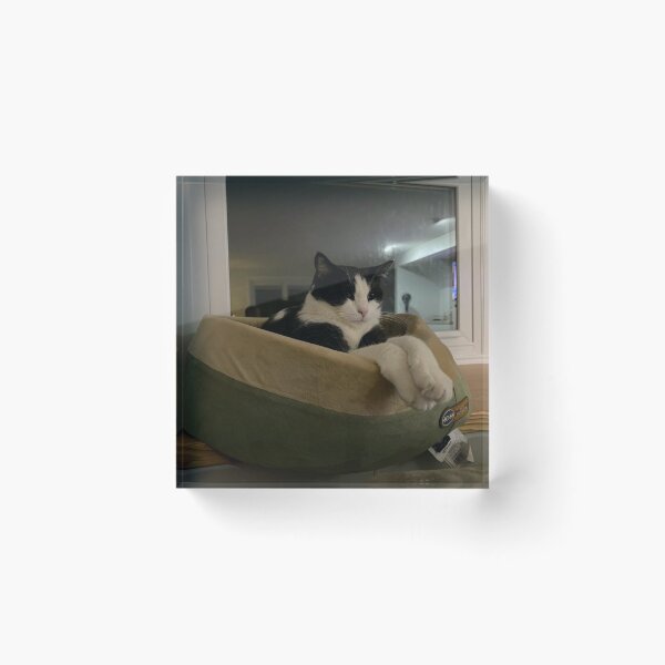 Item preview, Gato relajado designed and sold by FullSurrender.