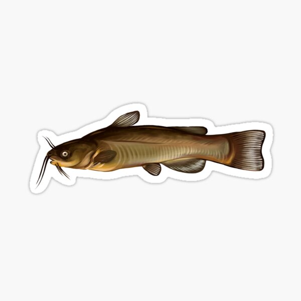 Aperçu de l'œuvre Poisson-chat brun créée et vendue par ZB-Zoology.