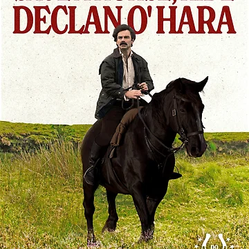 Imagen de la obra Salva un caballo, monta a Declan O'Hara de charmingdearie