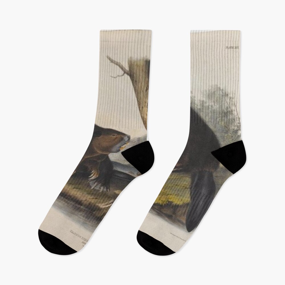 Artikel-Vorschau von Socken, designt und verkauft von SharonTheFirst.