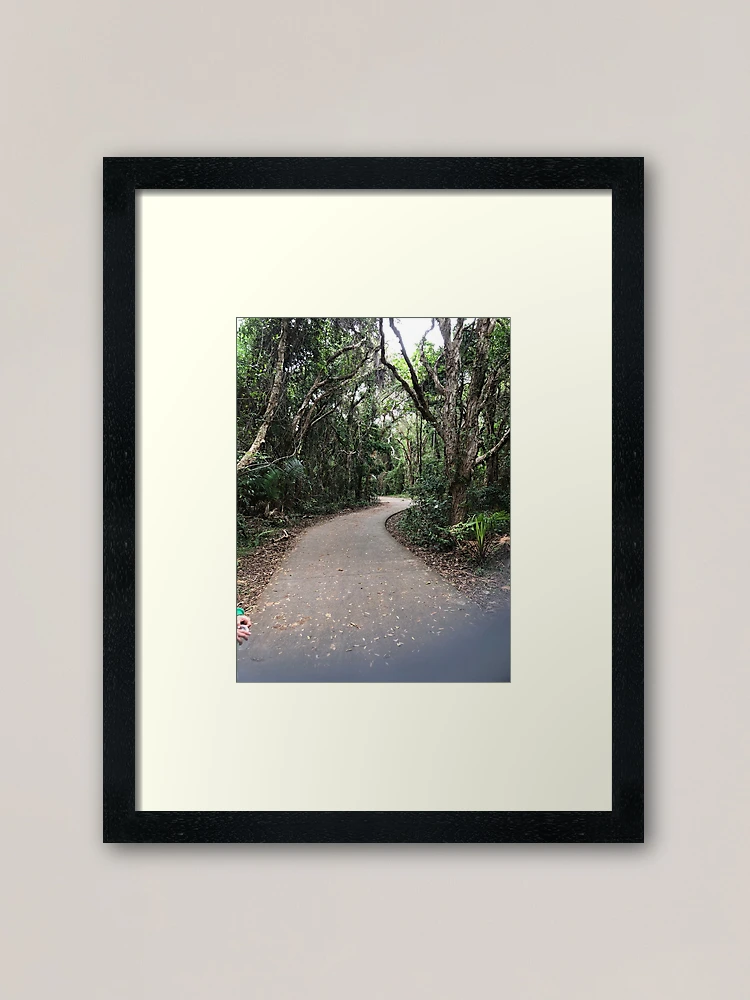 Thumbnail 1 of 7, Framed Art Print, Paths designed and sold by Diana Grunwald.