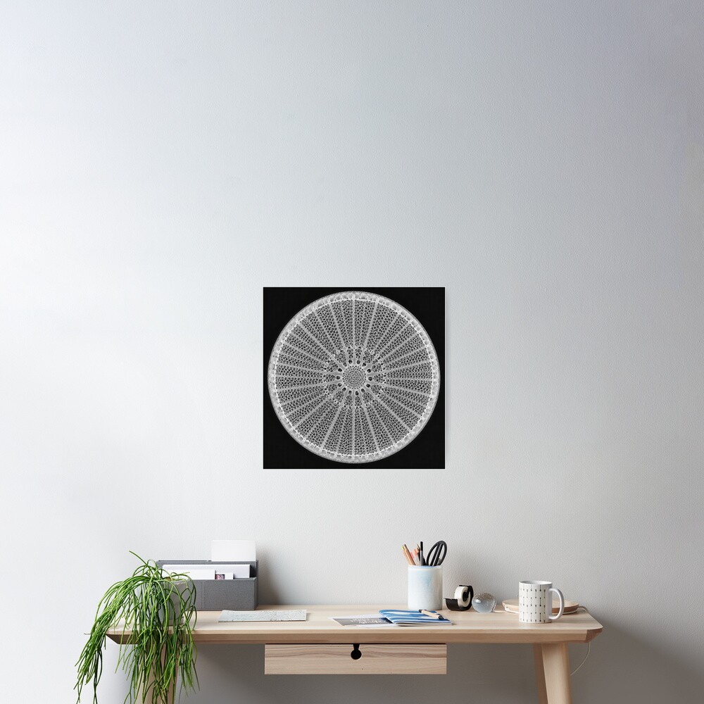 Item preview, Poster designed and sold by cryolith7454.