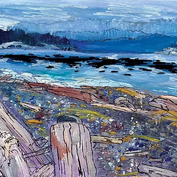 Imagen de la obra Paisaje costero de madera a la deriva del mar de Salish de TheArtyHarpy