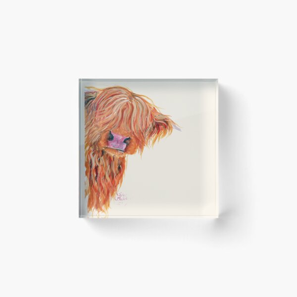 Aperçu de l'œuvre HIGHLAND COW 'PEEKABOO' PAR SHIRLEY MACARTHUR créée et vendue par Shirley MacArthur Art.