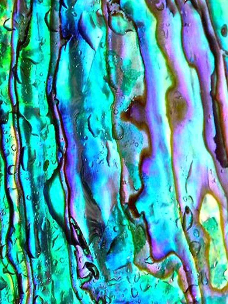 Thumbnail 3 of 3, Scarf, Abalone Shell designed and sold by Romero80.