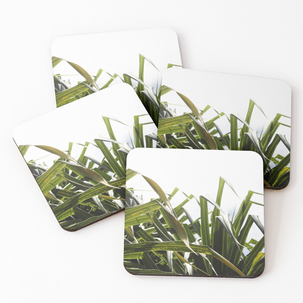 Item preview, Coasters (Set of 4) designed and sold by Blancotography.