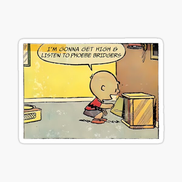 Artikelvorschau, Phoebe Bridgers Vinyl Collector Aesthetic Art – Geschenk für Indie-Musikfans | Limitierte Auflage entworfen und verkauft von kkkofficial.