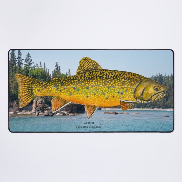 Item preview, Little Trout Bay Coaster Painting designed and sold by Stephen Emms.