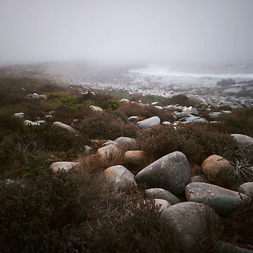 Imagen de la obra Crepúsculo melancólico sobre la costa rocosa de hanlahav