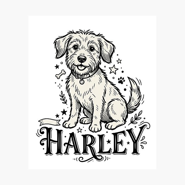 Artikelvorschau, Harley-Hundeskizze für Eltern von Drahthaar-Terrierwelpen und Liebhaber von geretteten Mischlingen entworfen und verkauft von raedattia.