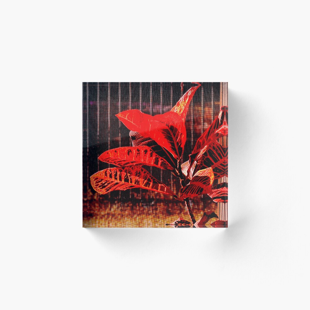 Item preview, Acrylic Block designed and sold by ROSENDE ART HOUSE.