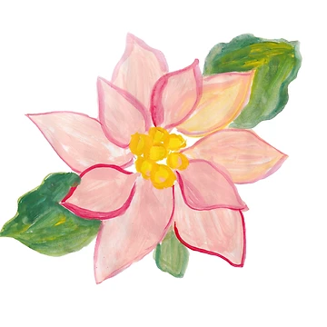 Aperçu de l'œuvre Fleur de poinsettia rose de A Painted Garden