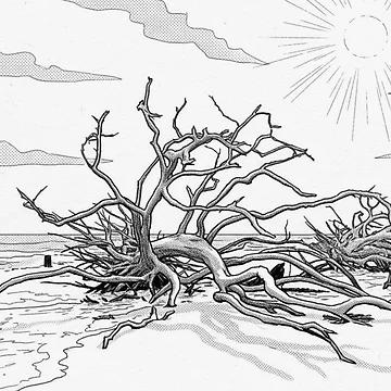 Artwork thumbnail, Driftwood beach 1 by LoveGraceValor