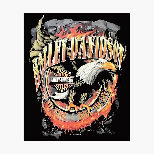 Artikelvorschau, Harley-Davidson RING OF FIRE EAGLE entworfen und verkauft von Jennabunnies.