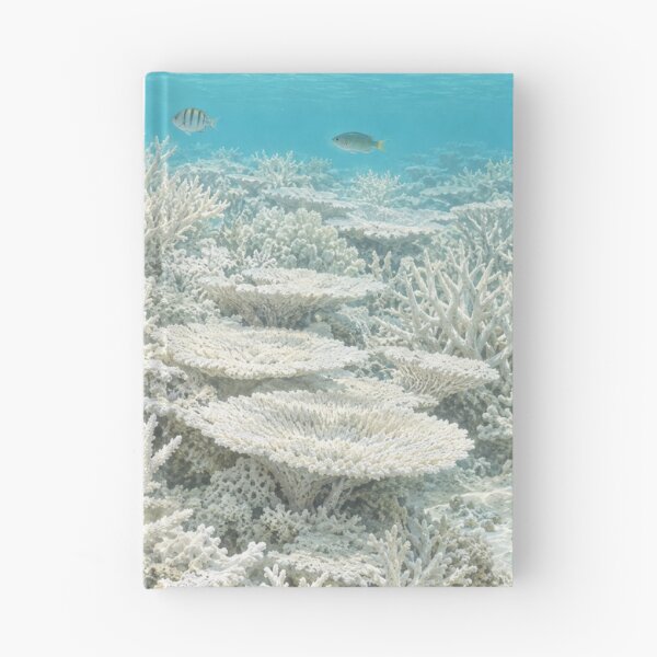 Item preview, he Bleaching — Bone White Coral Reef, Coral Bleaching Conservation Art designed and sold by mushizaman.