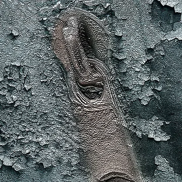 Artwork thumbnail, Peeling Top Coat Zipper by Steve Woodman