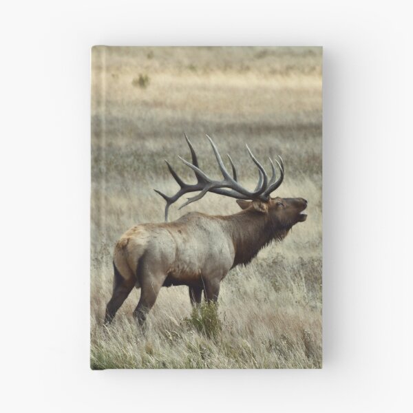 Item preview, Bull Elk Bugling designed and sold by Karen Peron.