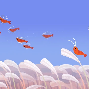Artwork thumbnail, Flying cherry shrimp by pikaole