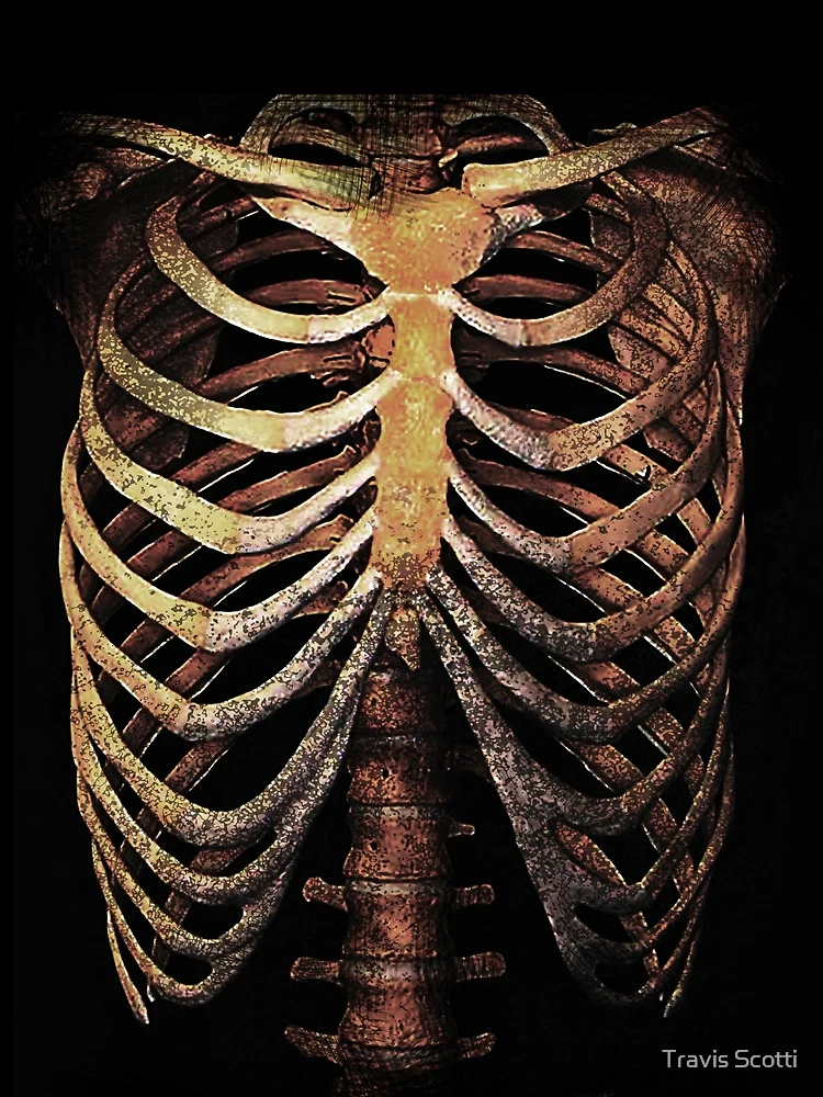 Imagen 4 de 4, Camiseta gráfica con la obra RIB CAGE TEE, diseñada y vendida por Travis Scotti.