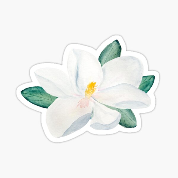 Item preview, Flor de magnolia designed and sold by Jensphotos.