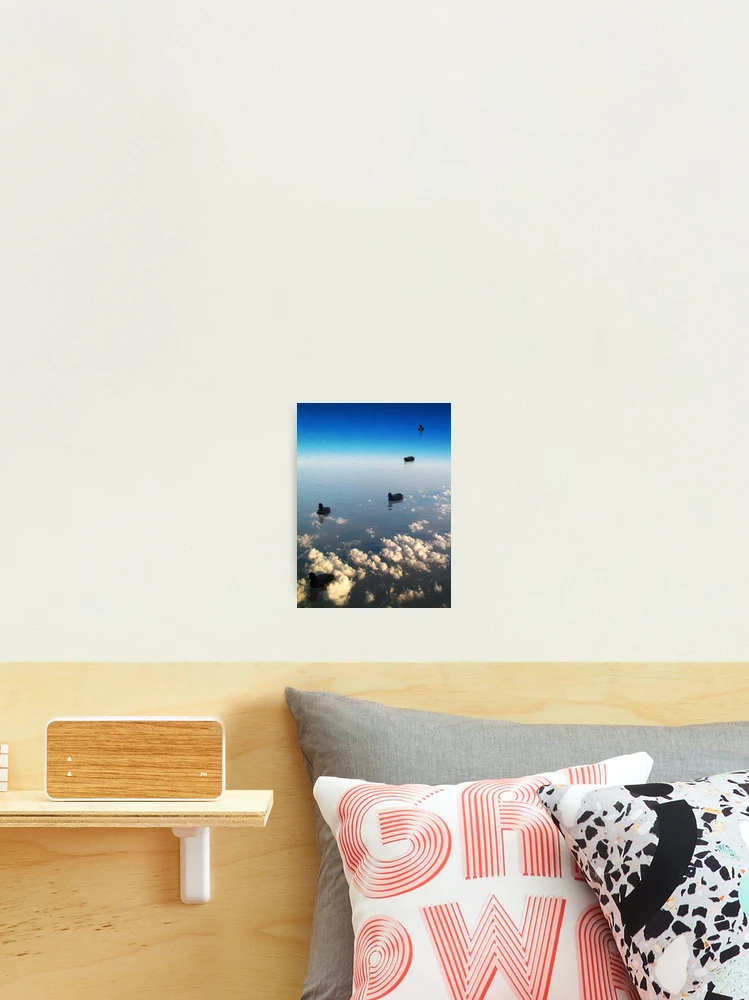 Thumbnail 2 of 3, Photographic Print, birds floating in the sky designed and sold by Mark Malinowski.