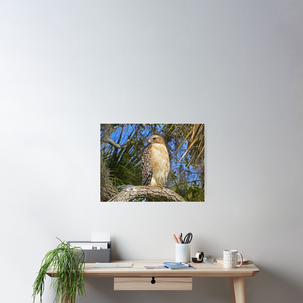 Item preview, Poster designed and sold by gcampbell.