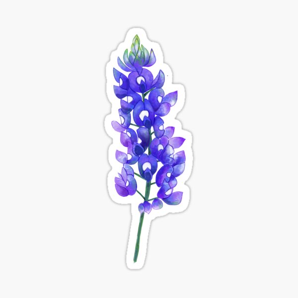 Aperçu de l'œuvre Lupin bleu du Texas créée et vendue par Zendays.