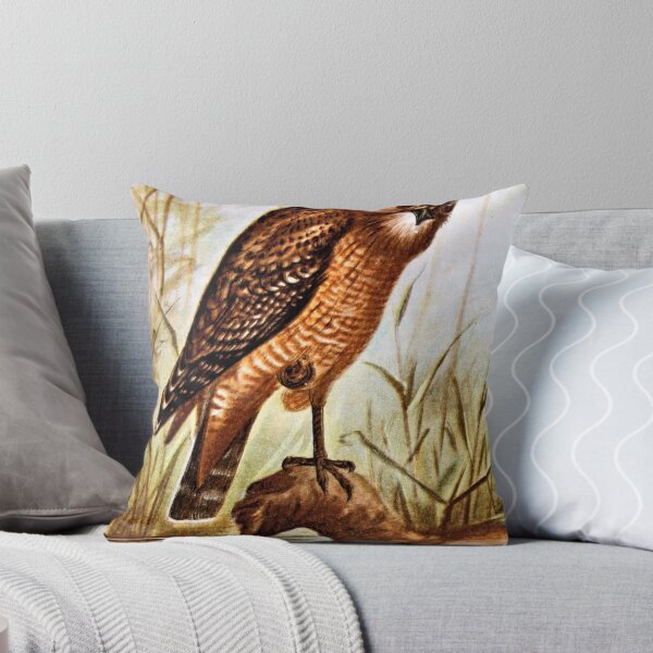 Item preview, Red Shouldered Hawk art designed and sold by goldenmenagerie.