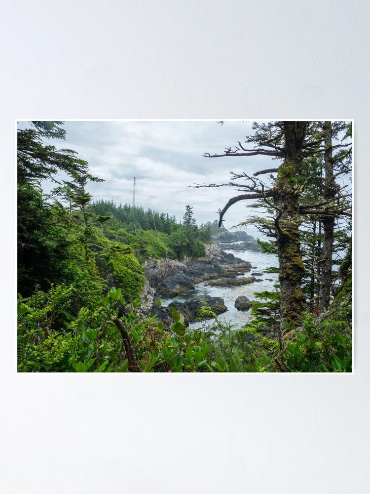 Thumbnail 1 of 3, Poster, Ucluelet, British Columbia designed and sold by ashl3ynash.