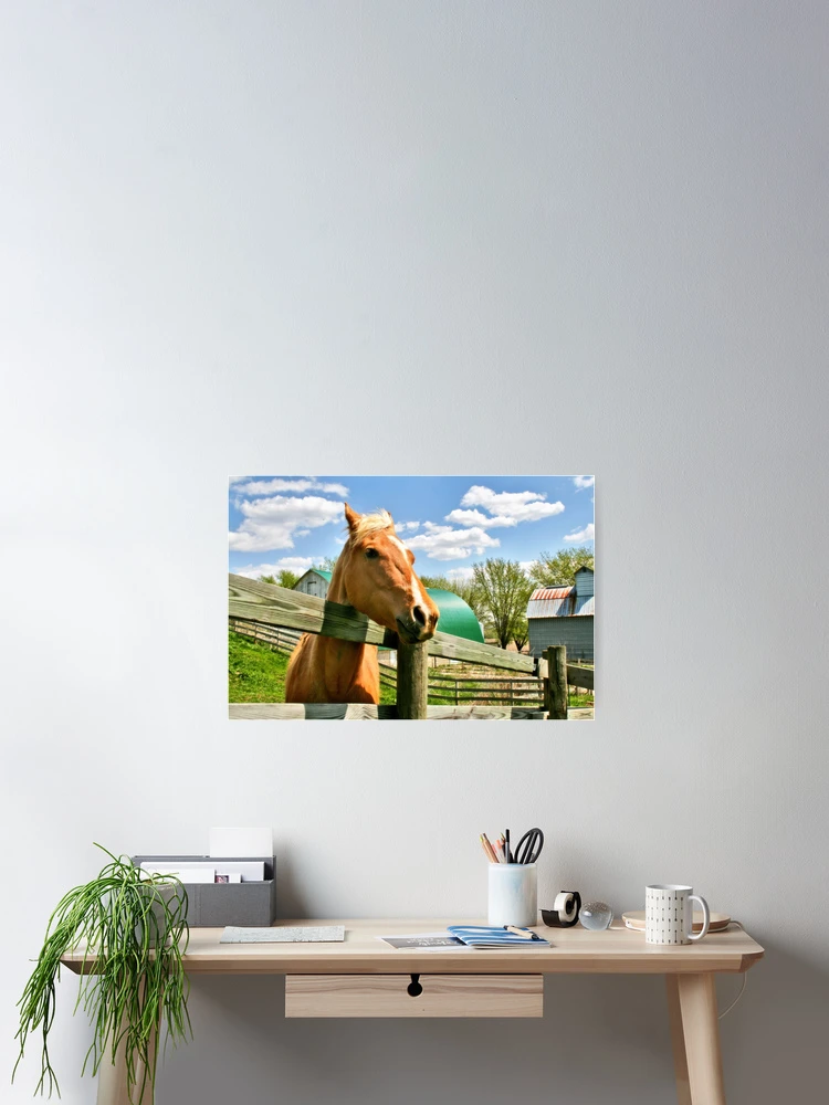 Thumbnail 2 of 3, Poster, Life on the Ranch designed and sold by Claude Johnson.