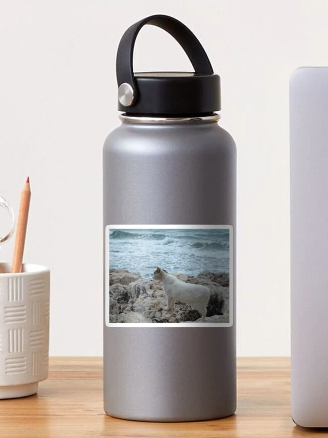 Imagen 1 de 3, Pegatina con la obra Gato de mar, diseñada y vendida por Anne Park.