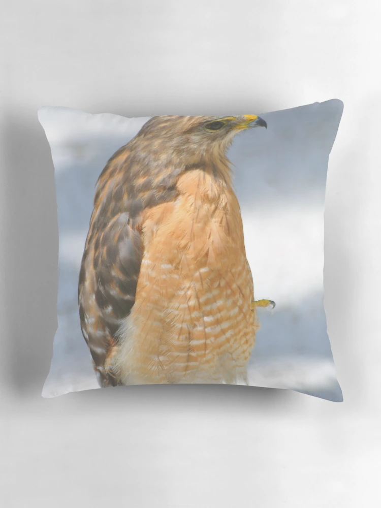 Thumbnail 3 of 4, Pillow, Red-Shouldered Hawk designed and sold by Karl F Davis.