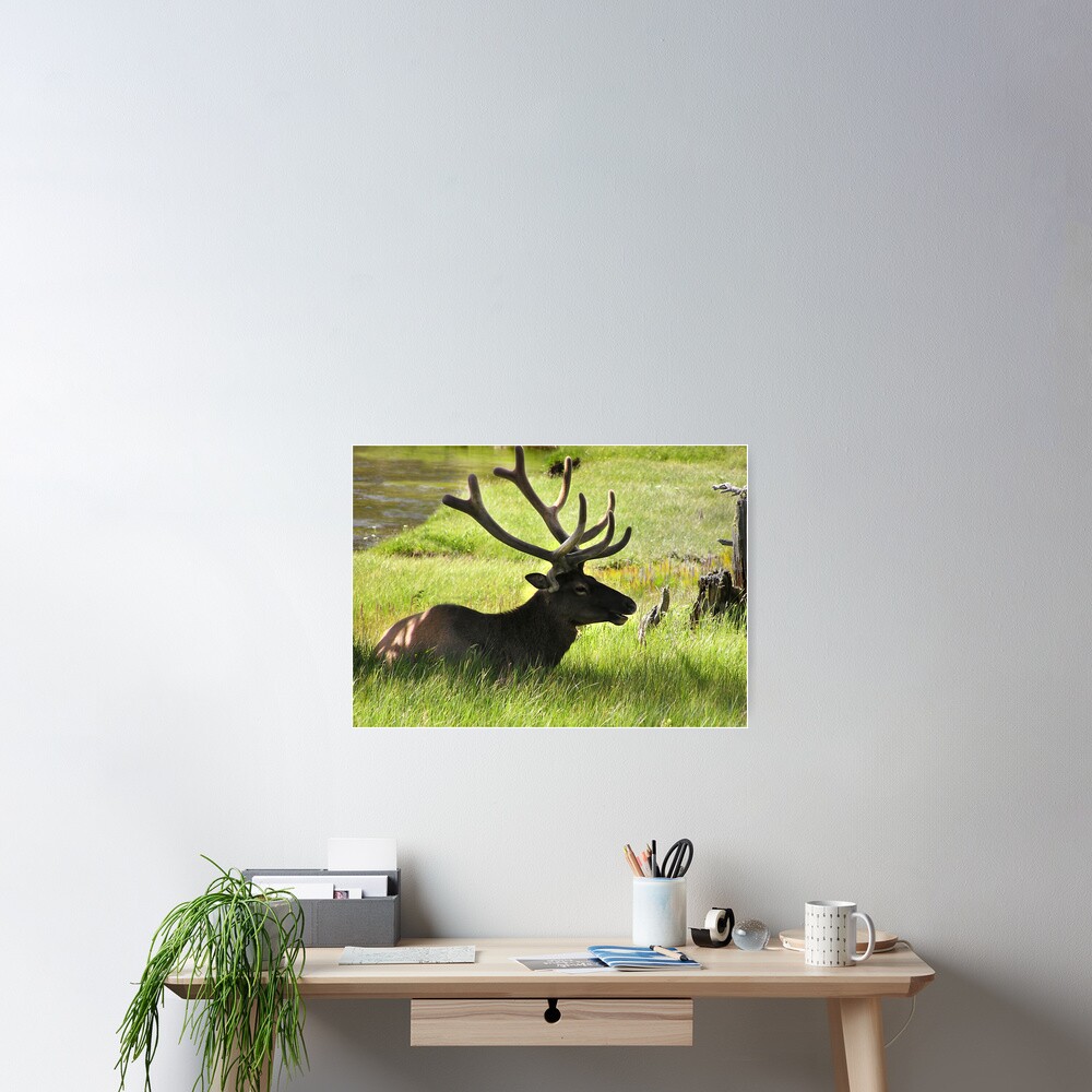 Item preview, Poster designed and sold by kayzsqrlz.
