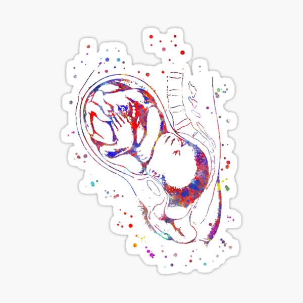 Aperçu de l'œuvre Grossesse, Anatomie de la femme enceinte, fœtus, fœtus, développement de bébé créée et vendue par Rosaliartbook.