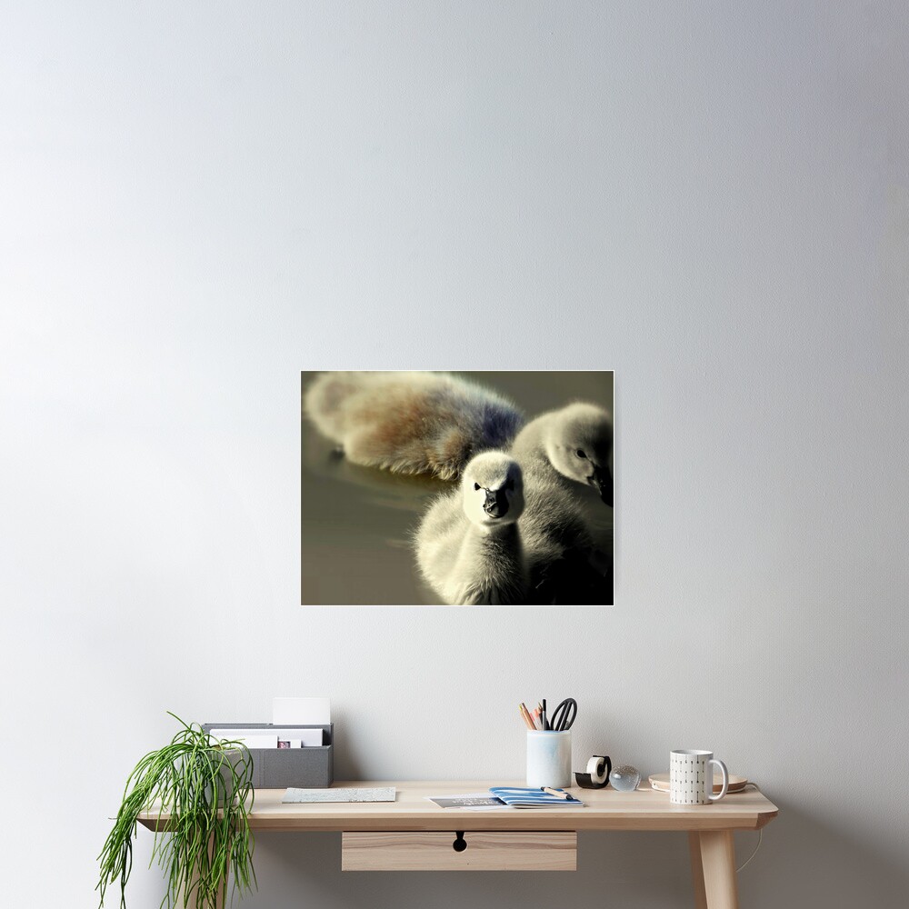 Item preview, Poster designed and sold by Rinaldo Di Battista.