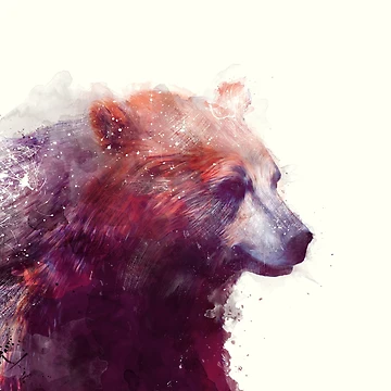 Artwork thumbnail, Bear // Calm by Amy Hamilton