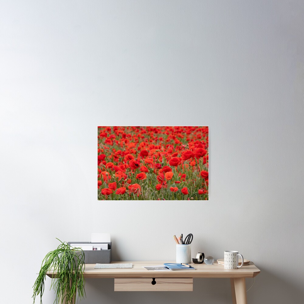 Item preview, Poster designed and sold by chuckirina.